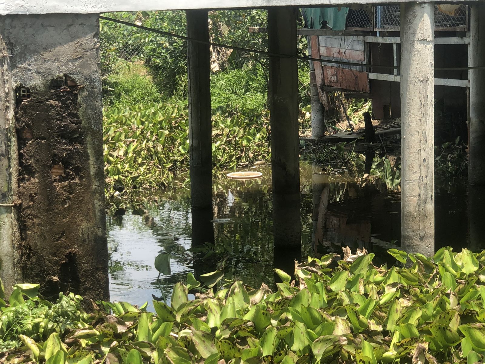Long An: Sử dụng điện chích cá, người đàn ông 55 tuổi tử vong dưới ao