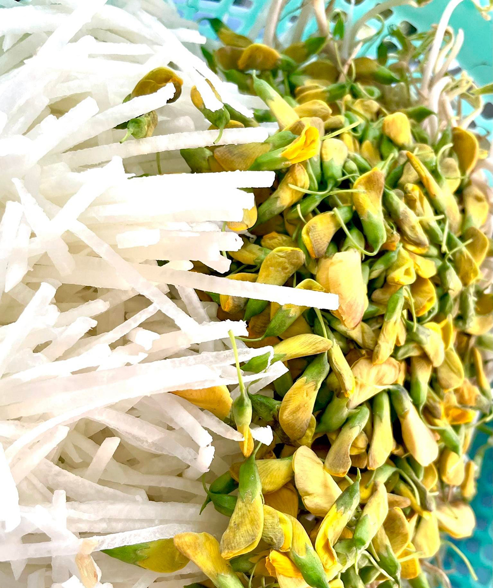 Dân dã bánh xèo quê