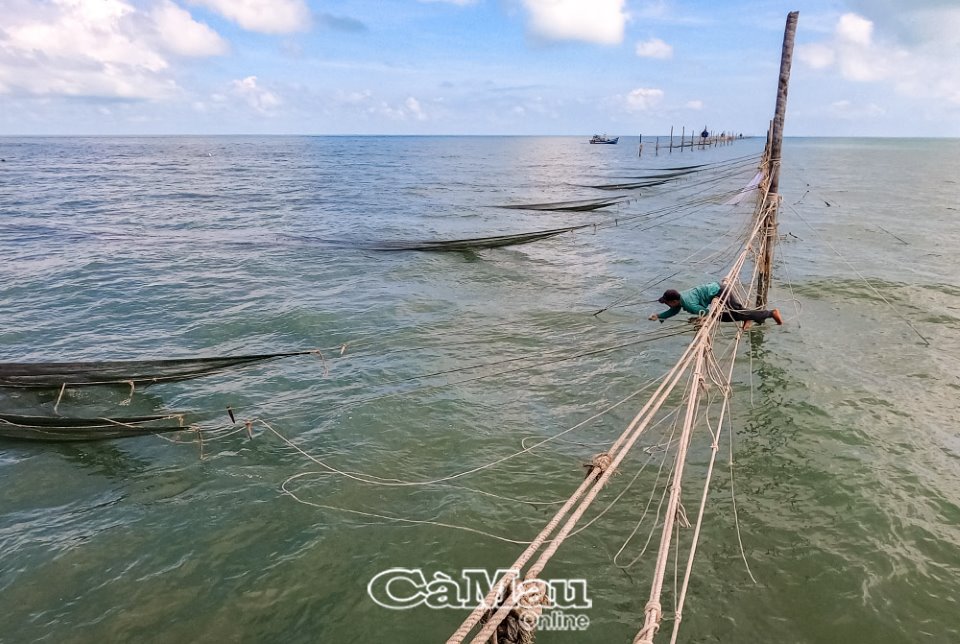Mưu sinh trên đầu sóng