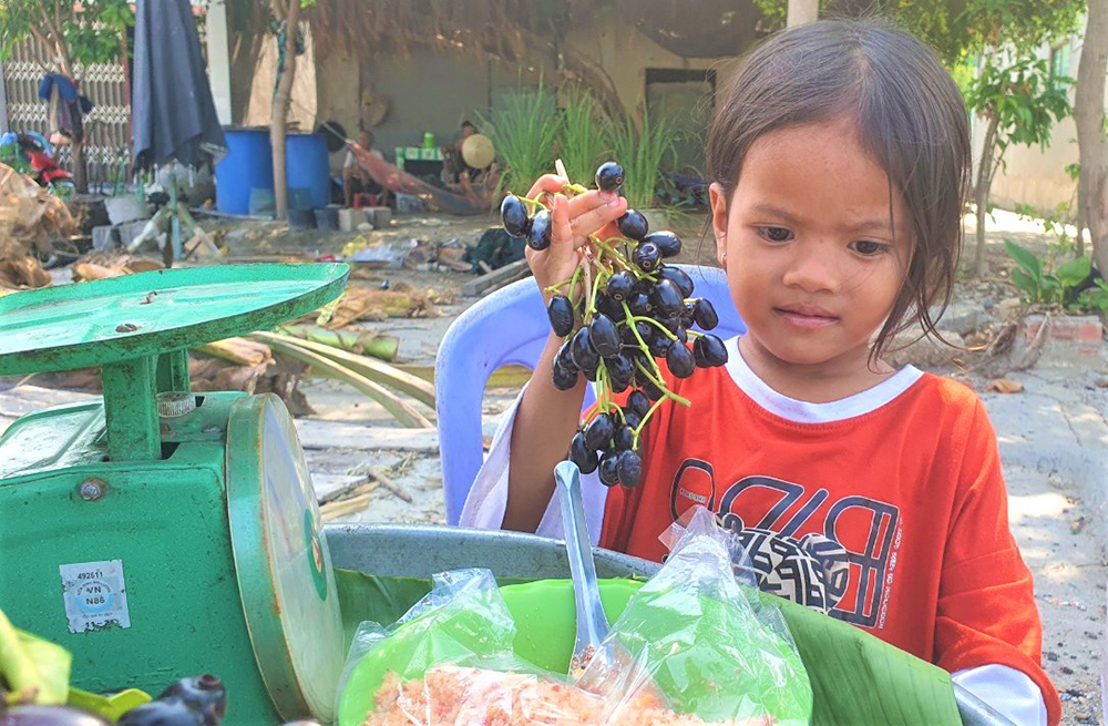 Trái trâm Bảy Núi vào mùa