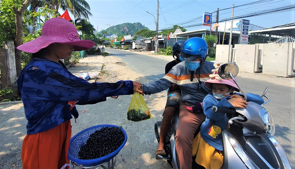 Trái trâm Bảy Núi vào mùa