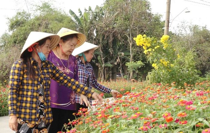 Rực rỡ tuyến đường hoa