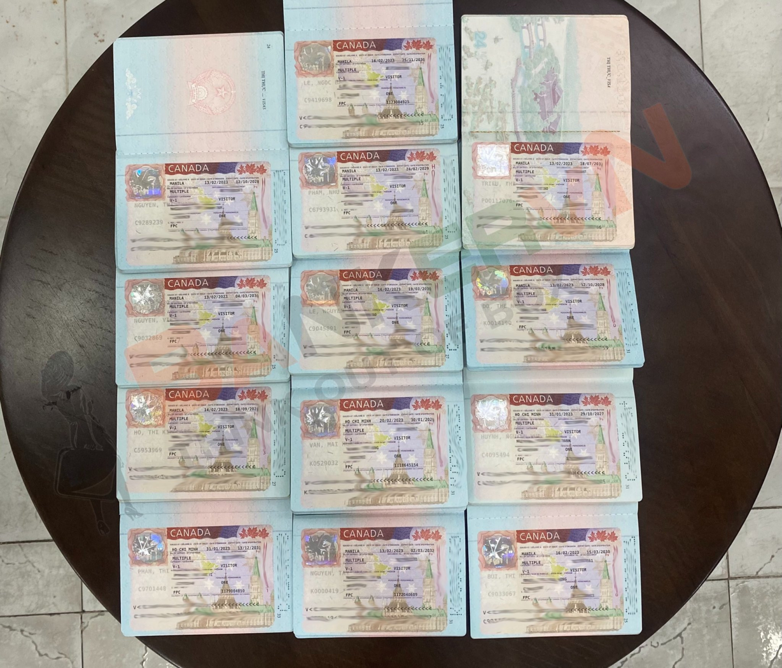 Bankervn - Sự lựa chọn hàng đầu về dịch vụ Visa chất lượng cao