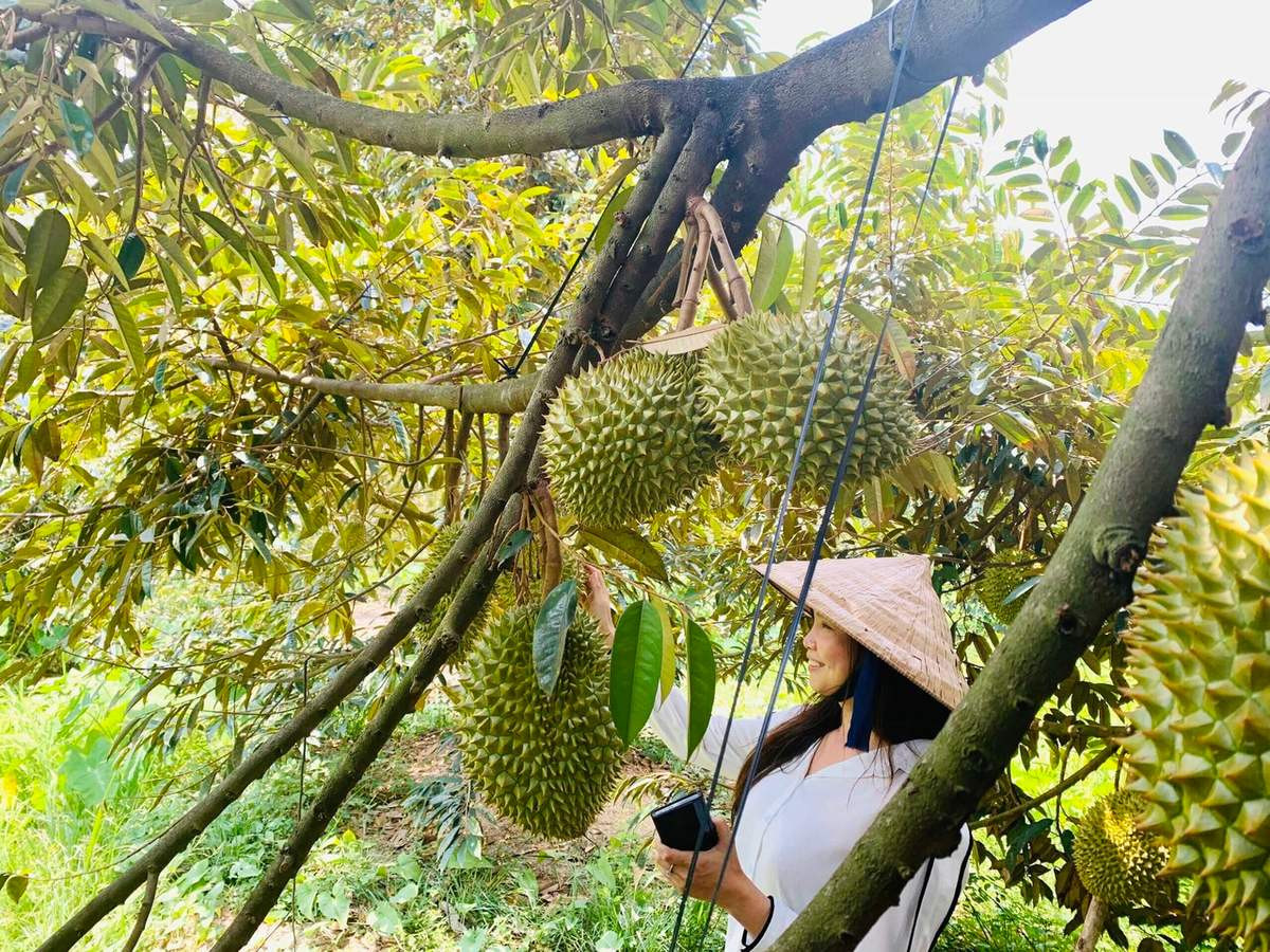 Gỏi gà măng cụt và loạt đặc sản Bình Dương ngon trứ danh