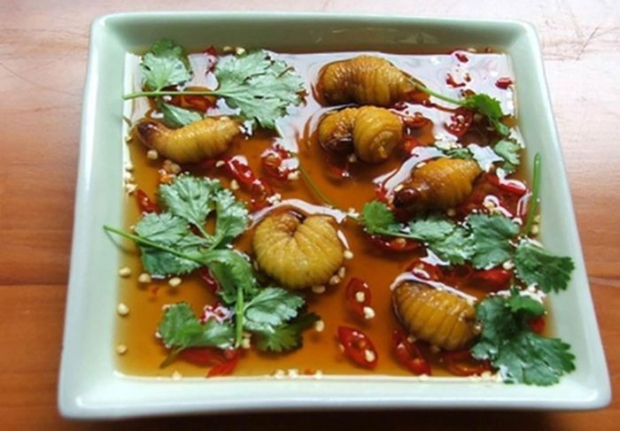 Những loại sâu bọ 'độc nhất vô nhị' đắt đỏ, thực khách săn lùng