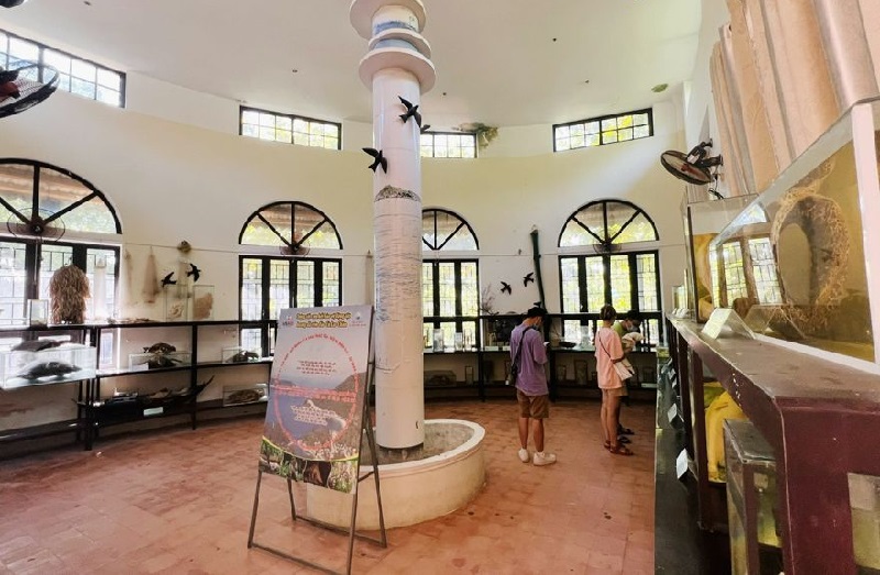 Kinh nghiệm đi Cù Lao Chàm khám phá trọn vẹn hòn đảo xinh đẹp