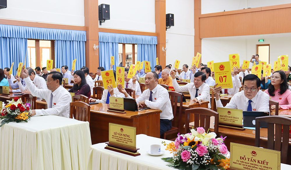 Kỳ họp lần thứ 13 (chuyên đề) HĐND tỉnh An Giang khóa X thông qua 5 nghị quyết