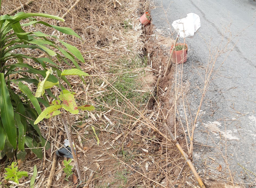An Giang liên tiếp xảy ra sạt lở đất bờ sông