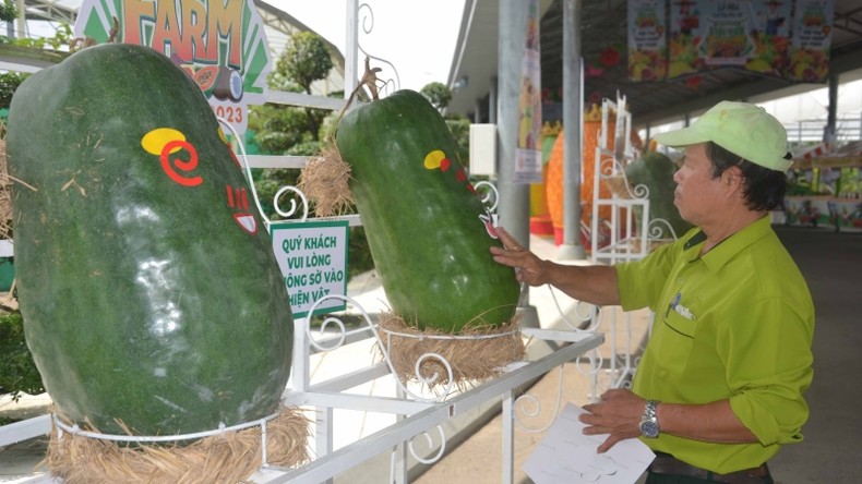 Khai mạc Lễ hội trái cây Nam Bộ