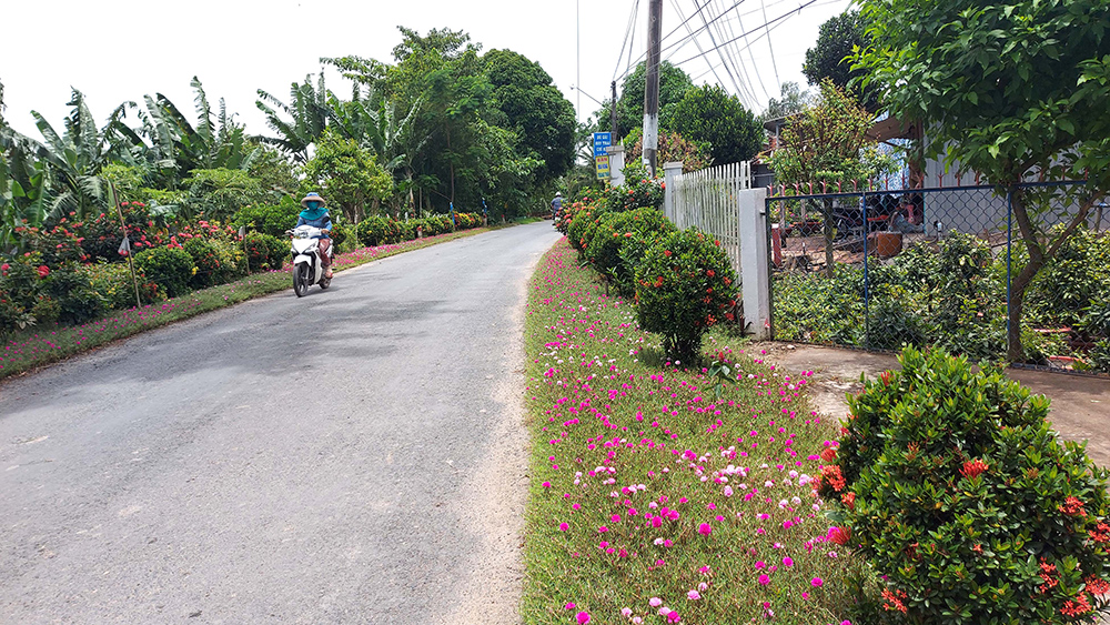 Chợ Mới hoàn thành xây dựng xã nông thôn mới