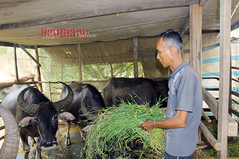 Hậu Giang: Động lực giúp hộ đồng bào dân tộc thiểu số phát triển