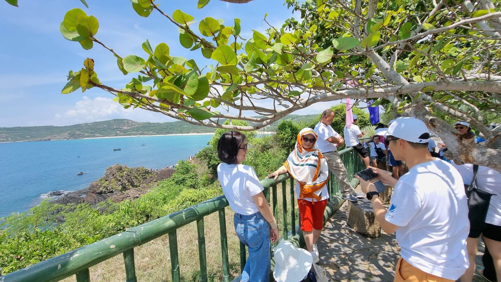 Ghềnh Đá Đĩa – biểu tượng du lịch Phú Yên