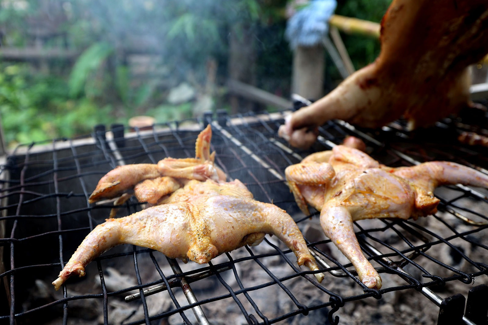 Đặc sản Tây Nguyên ngon hiếm có, khách muốn ăn phải tới vùng đất đỏ bazan