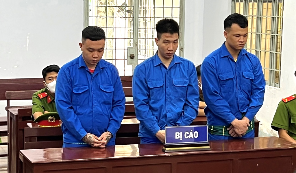 Nghiện ma túy, cùng cướp giật, cùng lãnh án