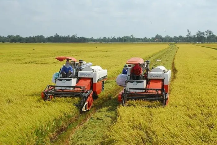 Xuất khẩu 7 triệu tấn gạo trong năm 2023 - Ảnh 2.