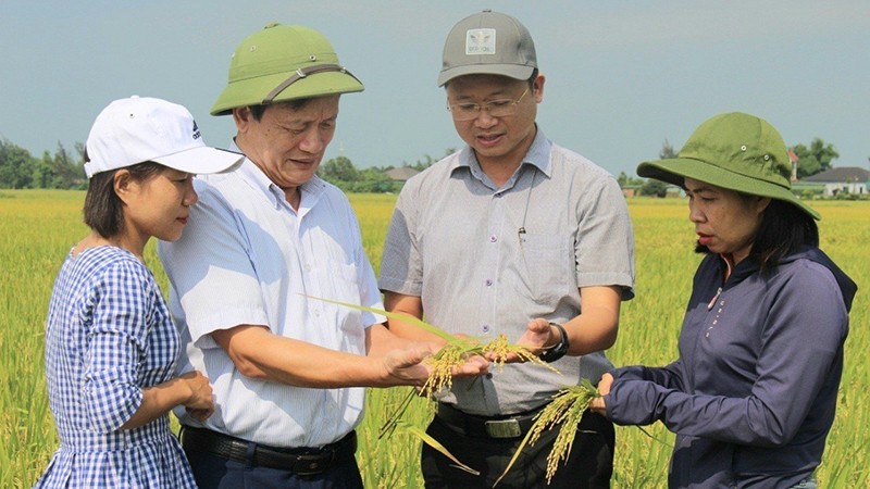 Sản xuất nông nghiệp xanh thích ứng với biến đổi khí hậu  Kiến thức  nhà  nông  Dân Việt