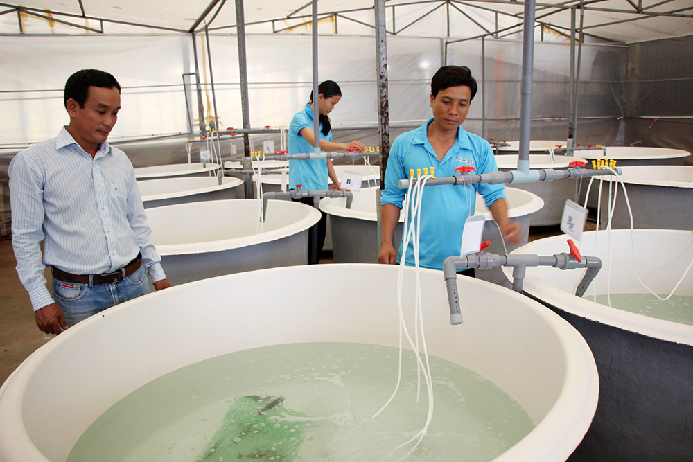 An Giang đưa công nghệ số vào các ngành kinh tế mũi nhọn