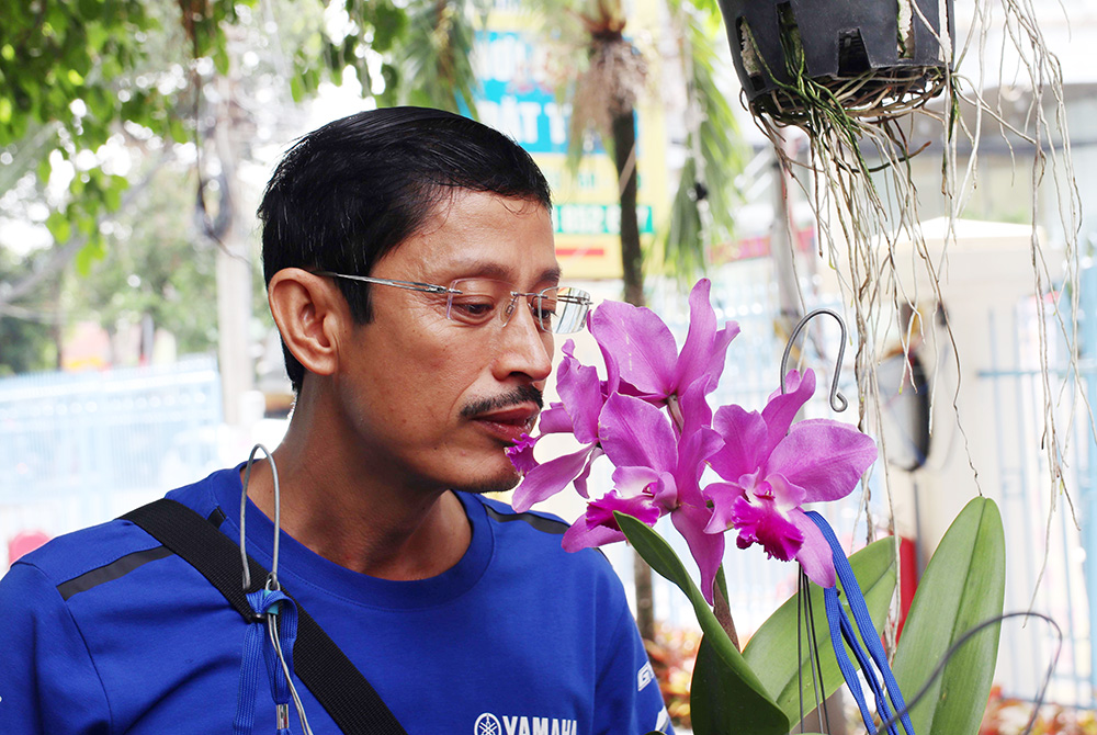 “Vì hoa, nên phải đánh đường tìm hoa”