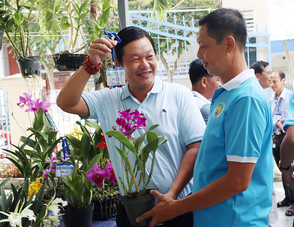 “Vì hoa, nên phải đánh đường tìm hoa”