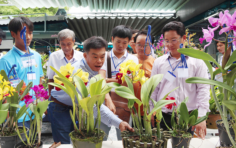 “Vì hoa, nên phải đánh đường tìm hoa”