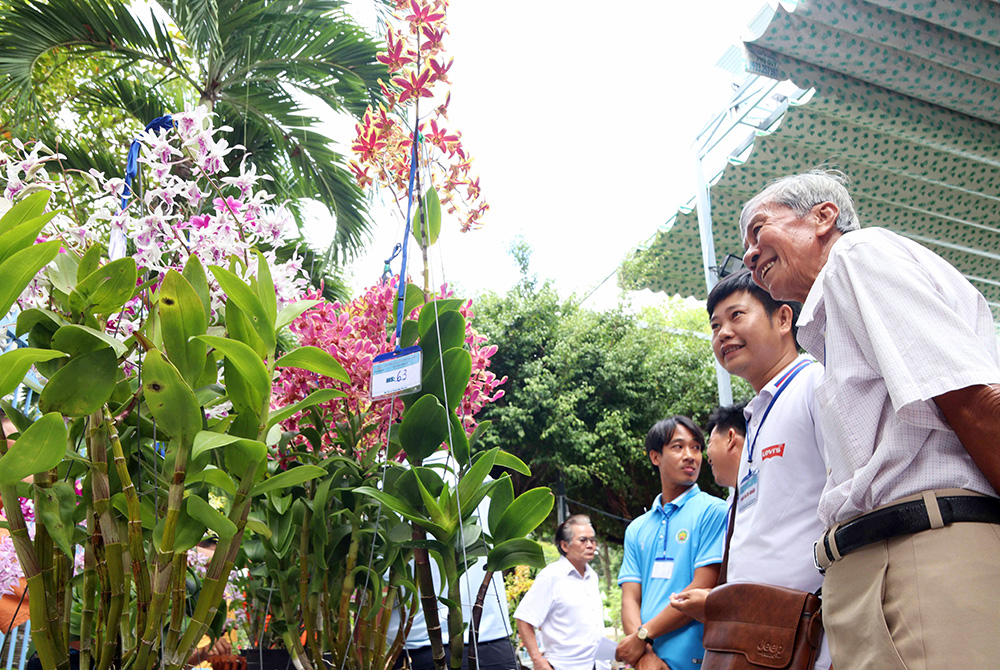 “Vì hoa, nên phải đánh đường tìm hoa”