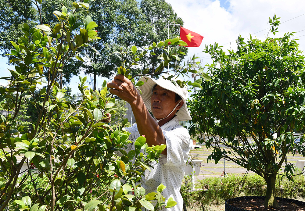 Tấm lòng người dân Đồng Tháp với Bác Tôn