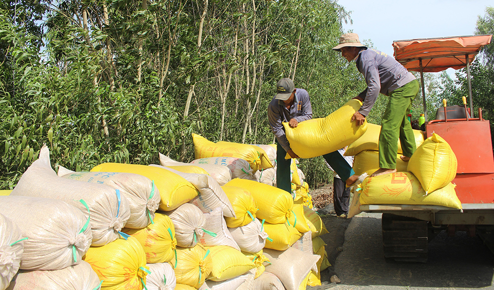 Lê Chánh tập trung xây dựng Đảng
