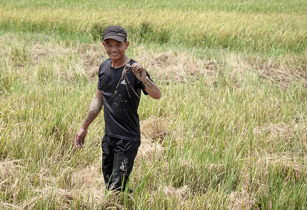 Thú vui bắt cua đồng