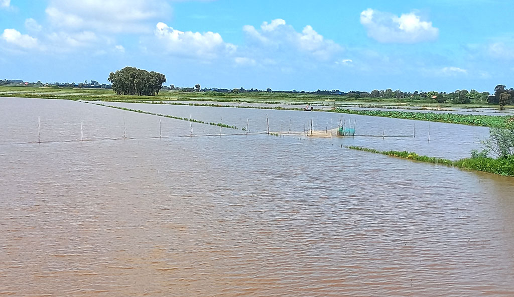 Long An: Người dân ngóng lũ