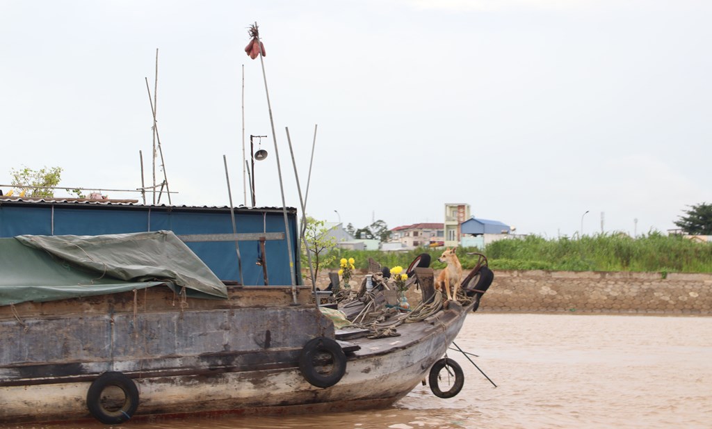 Bình minh ở chợ nổi Long Xuyên
