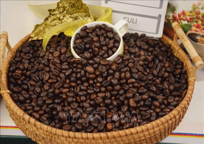 Giá gạo xuất khẩu giảm, kéo giá lúa trong nước đi xuống