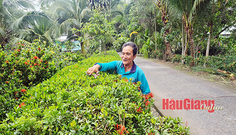 Hậu Giang: Con đường đẹp gắn với phát triển kinh tế nông nghiệp