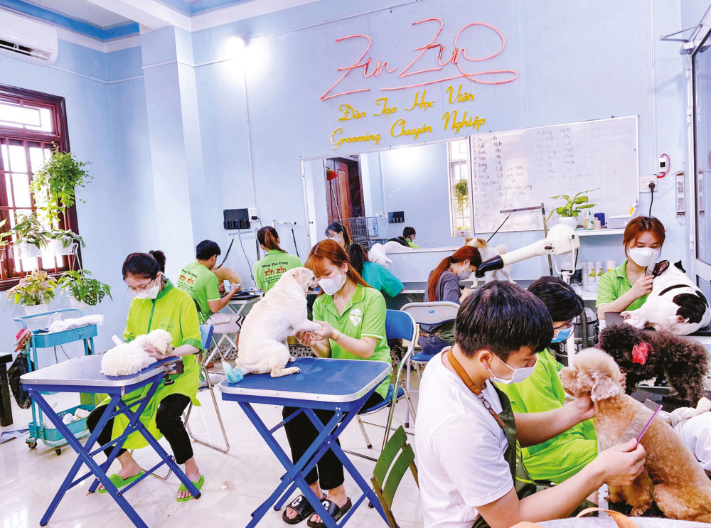 Kiên Giang: 9X khởi nghiệp thành công từ thú cưng