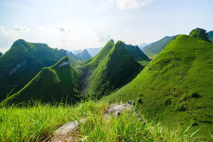 Đồi cỏ xanh mướt 'view triệu đô' ở Cao Bằng, khách rủ nhau tới cắm trại, săn mây