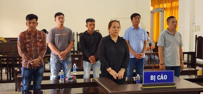 Phạt tù nữ bị cáo chủ mưu đập phá tài sản của 3 hộ dân ở Phú Quốc