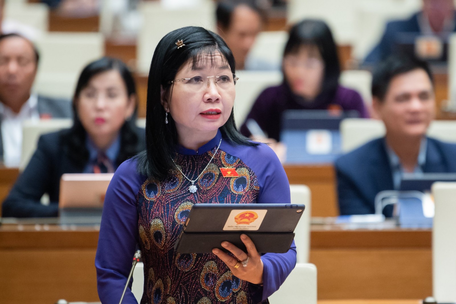 Đại biểu Quốc hội tỉnh An Giang gửi gắm ý kiến về nhà ở cho người có công