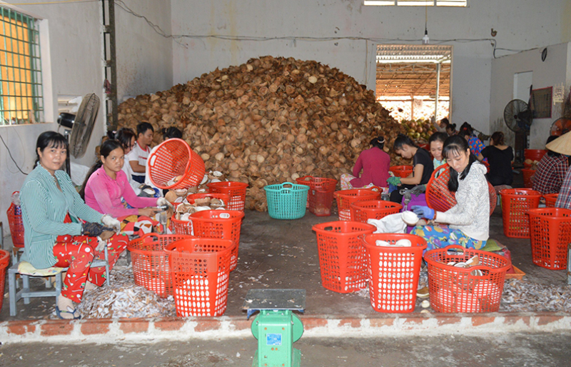 Bến Tre: Thạnh Phú phát triển mới 55 doanh nghiệp