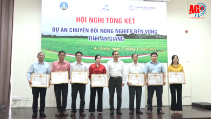 Tổng kết dự án Chuyển đổi nông nghiệp bền vững (VnSAT) tỉnh An Giang