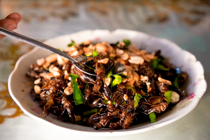Dế xào lá chúc