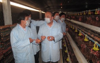 Thành công nhờ nuôi gà an toàn sinh học