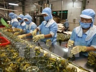 Nông sản Việt Nam có nhiều tiềm năng thâm nhập thị trường Singapore