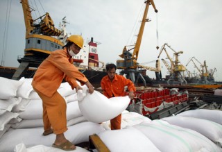 Lộ “tử huyệt” khiến xuất khẩu gạo sụt giảm