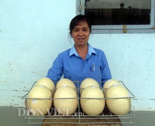 Trứng “khổng lồ” 1,5kg giá hơn trăm nghìn