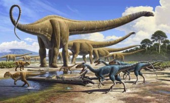 Khủng long vẫn tồn tại 30.000 năm trước – câu hỏi lớn cho thuyết tiến hóa