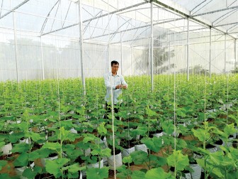 An Phú tập trung khai thác lợi thế biên giới