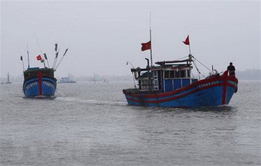 Bà Rịa-Vũng Tàu: Cấp cứu 4 thuyền viên bị ngạt khí hầm cá