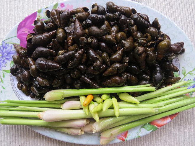 Ốc đá xào sả ớt - Báo An Giang Online