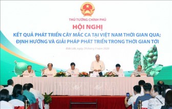 Thủ tướng Nguyễn Xuân Phúc: Cây mắc ca 'đi sau nhưng phải về trước'