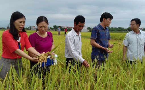 Phát huy nội lực trong xây dựng nông thôn mới ở Thái Nguyên