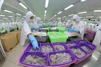 Việt Nam được dự báo là quốc gia sản xuất tôm chủ lực